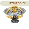 Termosztt Fendt F199204050010, E2858853903F1