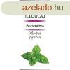 Vivamax Borsmenta illolaj 10 ml