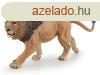 Afrikai oroszln