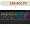Corsair K55 RGB Pro Gaming keyboard Black US