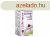 ESI Echinaid Immunerst Echinacea szirup
