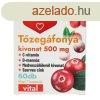DR.HERZ TZEGFONYA 500MG KAPSZULA