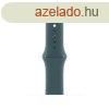 Apple Watch 40mm Sport Band M/L Lake Green
