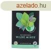 CHOICE TEA VADMENTA 20X