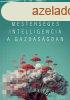 MESTERSGES INTELLIGENCIA A GAZDASGBAN