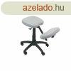 Ergonomikus szk Lietor P&C 37G Szrke 62 cm MOST 194904