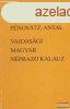 Pnovtz Antal - Vajdasgi magyar nprajzi kalauz 