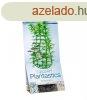 Tetra Dekoart Plantastics Anacharis (Wasserpest) Mnvny 2-