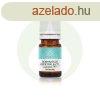 Rozmaring CT Kmfor - Rosmarinus officinalis CT1 camphre ill