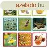 A termszet csodi (sorozatalkots) AKROS