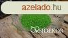 Homok homokszertartshoz zld