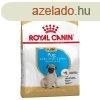 Royal Canin Pug Junior 500 g