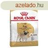 Royal Canin Pug ADULT 1,5 kg