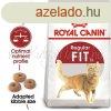 Royal Canin Regular Fit 32 4 kg