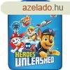 Vdflia lsre Paw Patrol