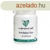 Mushrooms4pets Armillaria Plus 500 mg