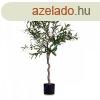 Dekor nvny Ibergarden BRS-ADK101 Manyag Vas drt Olajbogy