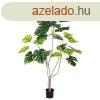 Dekor nvny Poliuretn Cement Monstera 180 cm MOST 107932 H