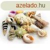 Kagylk Akvastabil Sea MOST 12383 HELYETT 7416 Ft-rt!