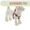 Lupine Step-in hm (Spring Blush 1,25 cm szles 31-45 cm)