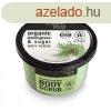 Organic Shop bio cukros testradr provance-i citromf 250 ml