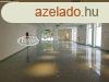 Kiad 295 nm-es zlet Veszprm