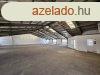 Kiad raktr Szigetszentmikls, 	Szigetszentmikls 517 m2 ra