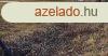  2300 nm-es telephely KIAD
