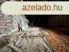 Kiad 16 nm-es Garzs Mr