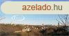 Elad ptsi telek Veszprm