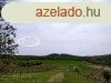 Elad 54 nm-es dl, nyaral Pcsely