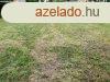 ptsi telek Pusztaszemesen