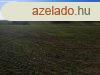 Befektetsre alkalmas telek Balatonszrszn