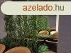 Ignyes rendezvnyhelyszn, szrakozhely Sifok belvrosba