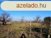 Zrtkert az reghegyen! - Balatonendrd