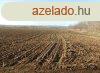 Klterleti sznt elad Balatonendrden