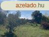 Zamrdi faluban elad ptsi telek