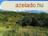 Panorms ingatlan elad! - Ktcse