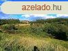 Panorms ingatlan elad! - Ktcse