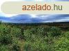 Panorms ingatlan elad! - Ktcse