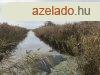 Kis-Balaton mellett 9,7 hektros terlet elad
