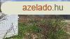 Pcsmegyeren telek elad