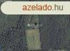 Elad telek, Zalasznt