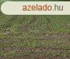 Elad 11223 nm-es Egyb Dabas