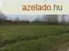 Elad 1438 nm-es Egyb Cegld