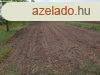 Elad 2028 nm-es Egyb Albertirsa