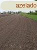 Elad 2028 nm-es Egyb Albertirsa