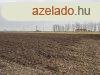 Elad telek - Debrecen