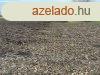 Debrecen, Jzsn 1600 nm-es telek elad, akr kt hznak is!