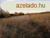 Dlegyhzi sznt elad! - Dlegyhza